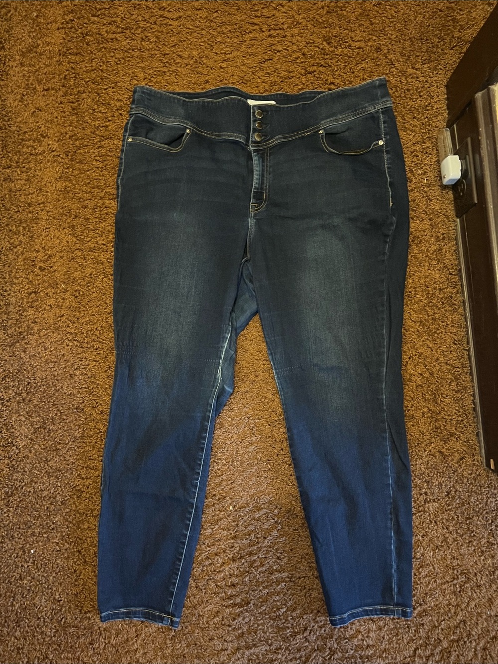 Lane Bryant Dark Blue Skinny Jeans